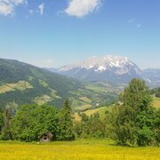 Fast auf Augenhöhe mit dem alten König der Steiermark