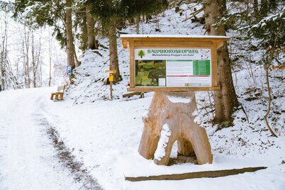 Startplatz Baumhoroskopweg