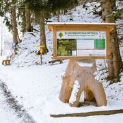 Startplatz Baumhoroskopweg