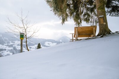 Der Baumhoroskopweg im Winter