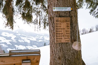 Baumhoroskopweg - Wetterstation :)