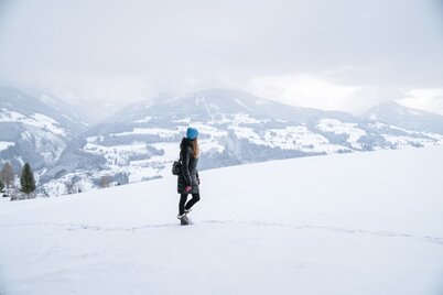 Die Winterlandschaft genießen entlang des Baumhoroskopweg