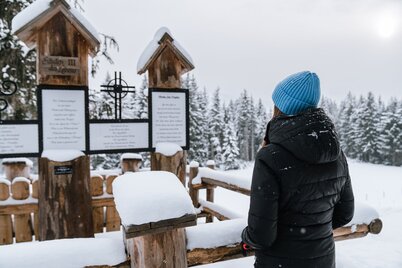 Die Säulen des Lebens - am Baumhoroskopweg