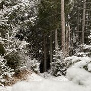 Ein paar Zentimeter reichen schon für winterliche Stimmung.