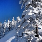 winterwandern am ennsradweg_img_31980697