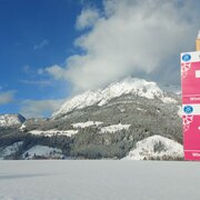 Winterwandern am Mitterberg - mit Ausblick zu Kammspitz und Stoder