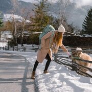 Tierische Begegnung am Winterwanderweg Dörfl