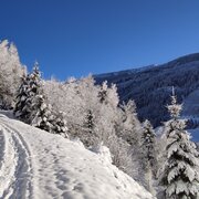 Winterlicher kann es kaum werden in Donnersbachwald