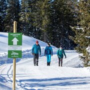 winterwandern_rittisberg_004__photo_austria_-_hans-peter_steiner_2023-02.jpg | © Photo Austria - Hans-Peter Steiner