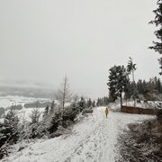 winterwanderung zum kulmgipfel_img_56098972