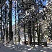 winterwanderung zur grimminghütte_img_54753307