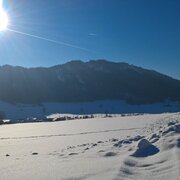 winterwanderweg gröbming-winkl_img_31961193