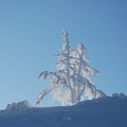 winterwanderweg pichl-vorberg_img_7986996