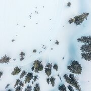 Aus der Vogelperspektive