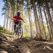 Worldcup Downhill - Wurzelpassage