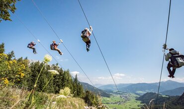 Zipline Stoderzinken 