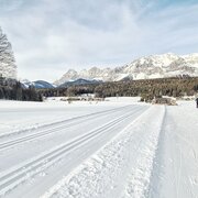Vorbergloipe with Dachstein view
